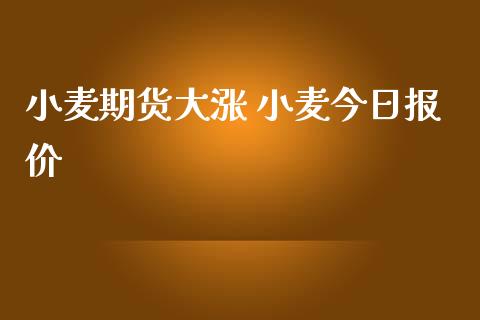 （2024年5月7日）今日小麦期货和美小麦价格行情查询