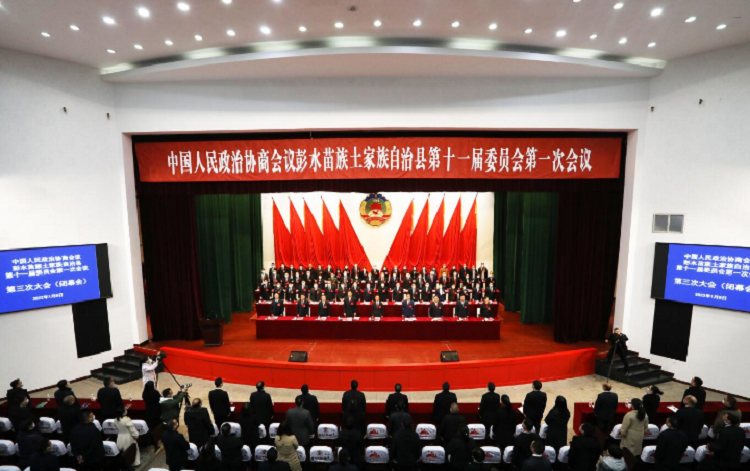 三安光电应邀出席中法企业家委员会第六次会议闭幕式