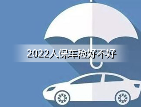 2024菠萝行业市场前景预测_人保服务 ,人保车险