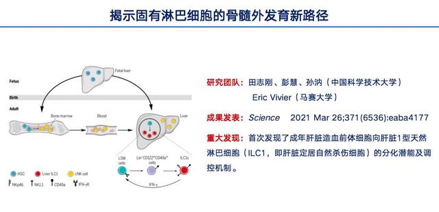 尚无自身造血能力华芢生物死磕上市一条路