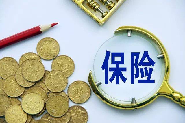 2024年花艺培训学校行业的产业链上下游结构及投资趋势分析_保险有温度,人保财险 