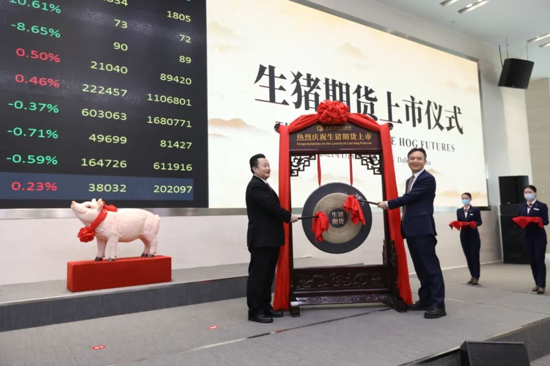 5月31日生猪期货持仓龙虎榜分析：多方进场情绪弱于空方