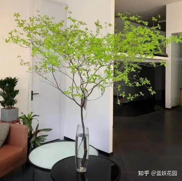 伟星股份获得实用新型专利授权：“一种吊钟及具有该吊钟的服饰”