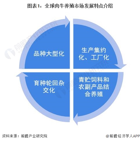 2024年中国肉牛养殖市场驱动因素、肉牛养殖主要细分市场及行业未来发展投资前景趋势_人保车险,人保财险政银保 