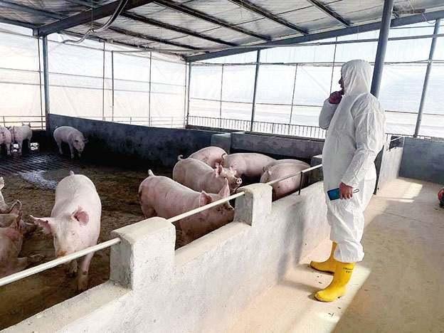 人保财险政银保 ,人保护你周全_物流机器人行业市场发展现状、前景趋势研究分析