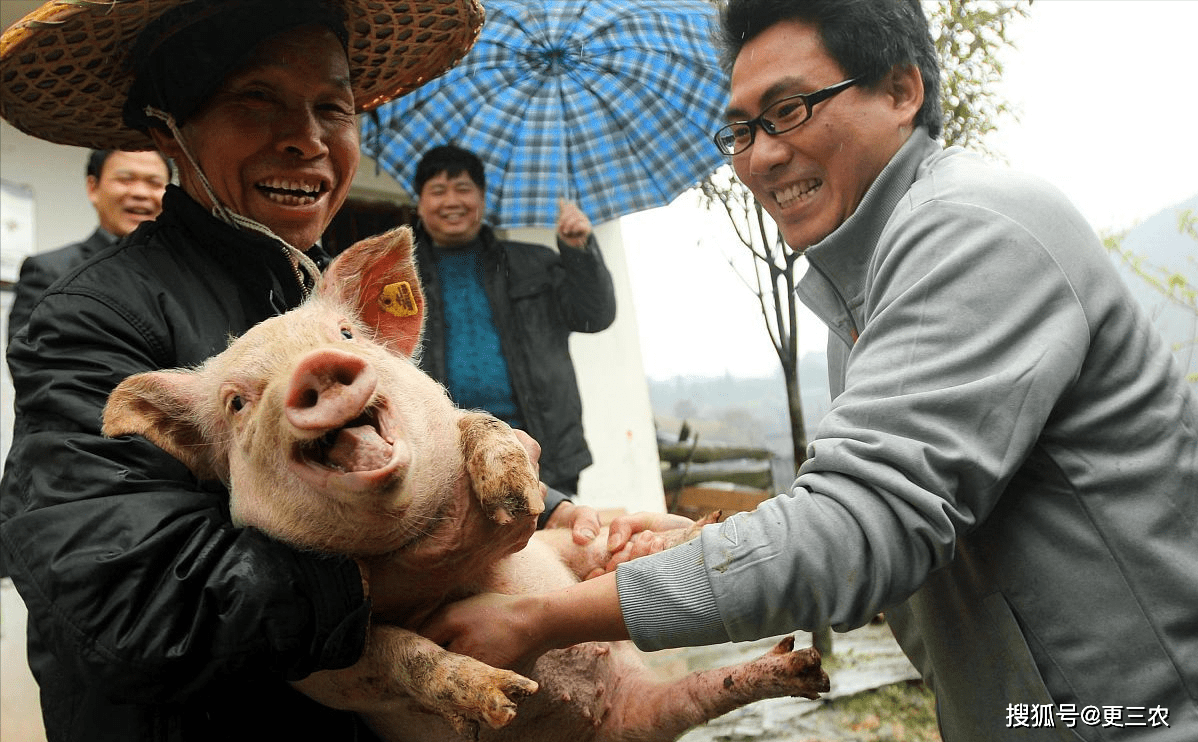拥有“如意行”驾乘险,出行更顺畅!,人保护你周全_生猪价格小幅走弱,长期来看猪价仍有望上涨 中国生猪养殖行业市场竞争分析与产业链构成概述