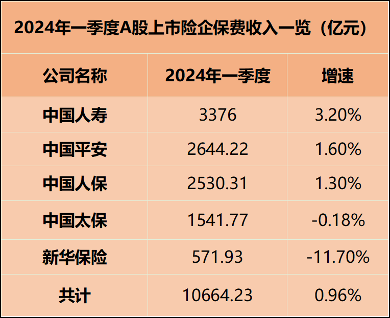 高级定制时装行业市场需求及未来发展分析2024_人保车险,人保财险