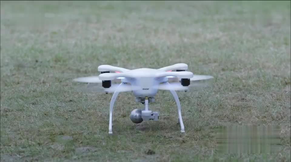 人保服务 ,人保有温度_无人机拍下象群睡觉