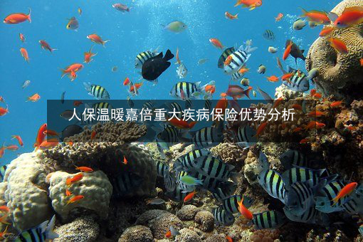 2024粉末涂料行业市场发展现状及企业竞争格局分析_保险有温度,人保有温度