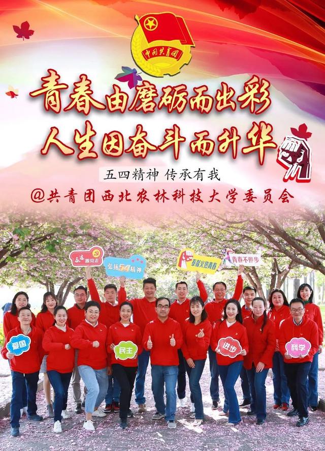 养老险公司新赛季：将帅齐换忙增资 回归养老主业