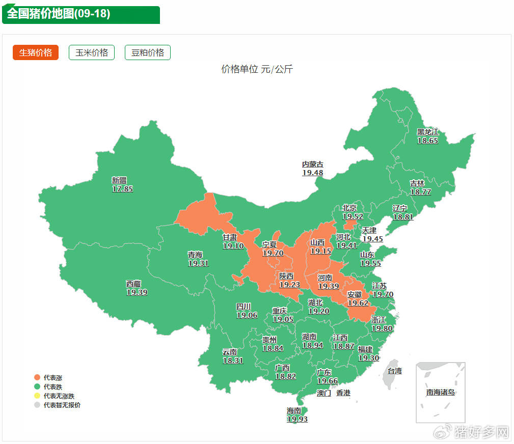 生猪周均价连跌三周，四季度或供大于求猪价承压