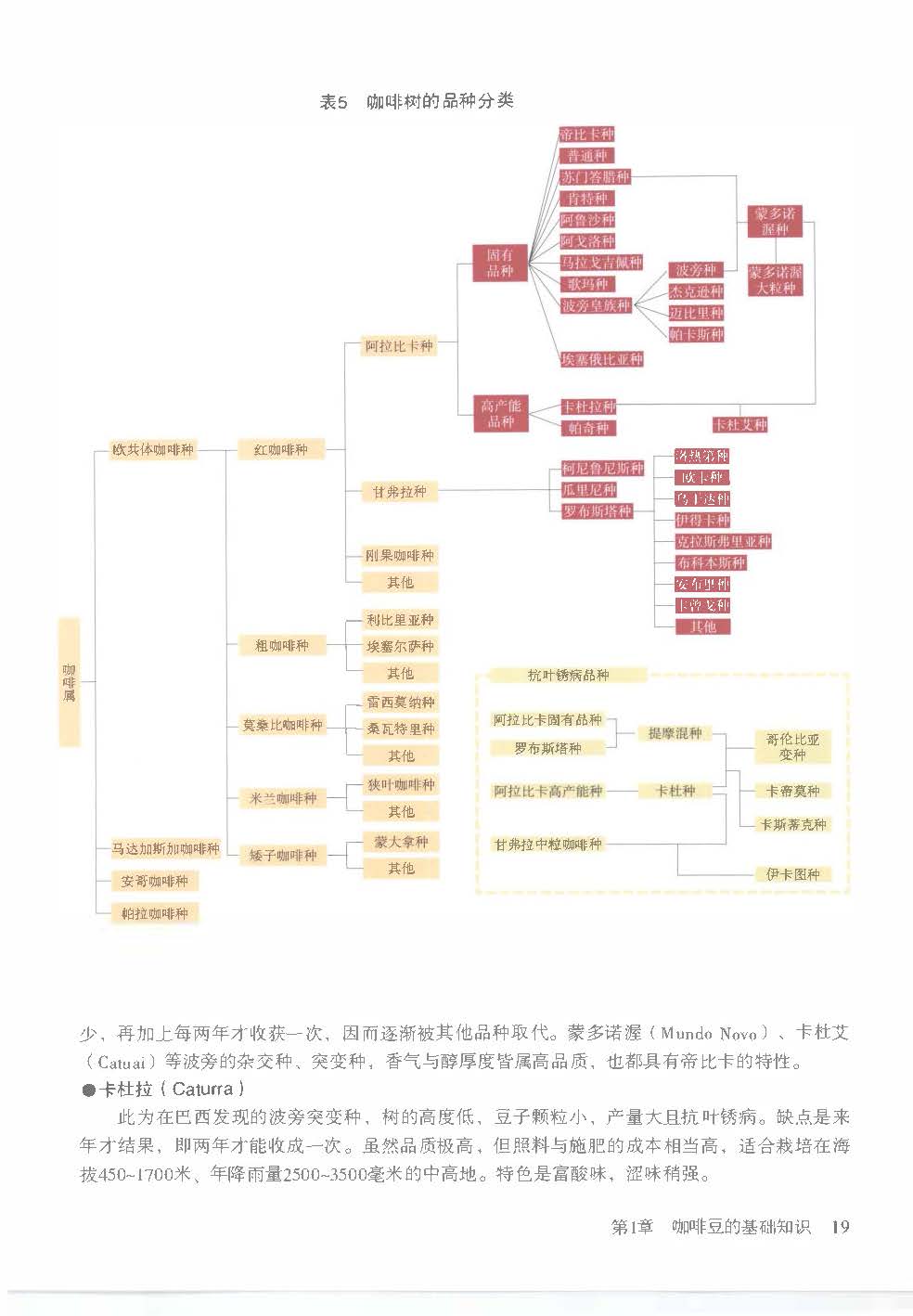 咖啡豆为什么比黄金涨得还猛？