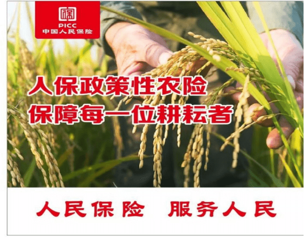 2025年书房家具行业供需分析及投资风险_保险有温度,人保伴您前行