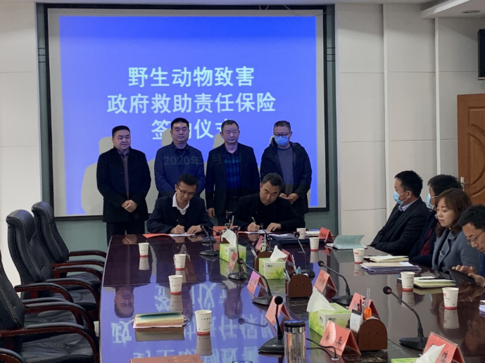 人保伴您前行,人保财险政银保 _2025年电吹风行业现状与发展趋势分析