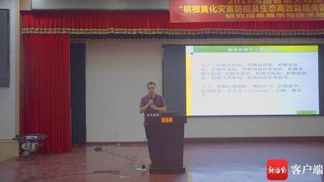 人保服务 ,人保财险 _2024年槟榔行业市场深度调研与投资潜力研究报告