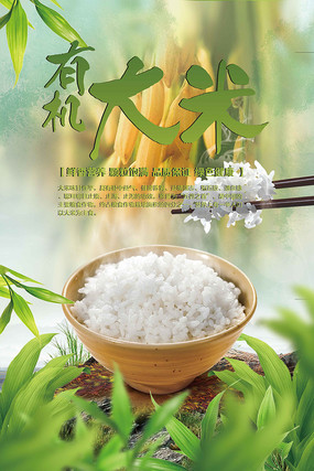 2025年有机大米行业市场规划研究及发展趋势预测_保险有温度,人保财险政银保 