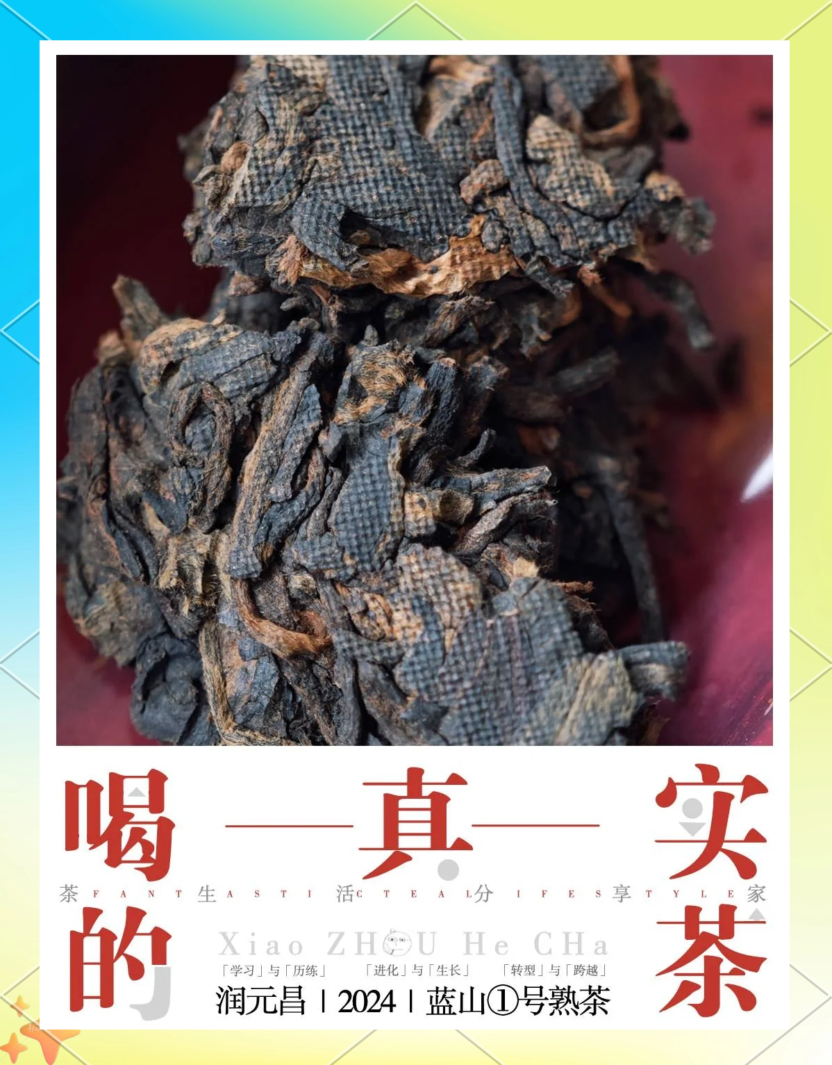 2024年普洱茶行业发展现状、竞争格局及未来发展趋势与前景分析_人保财险政银保 ,人保护你周全