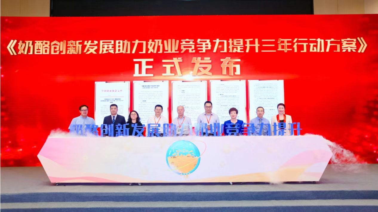 人保伴您前行,人保财险 _2025奶酪“内卷”时代：如何凭实力出圈？