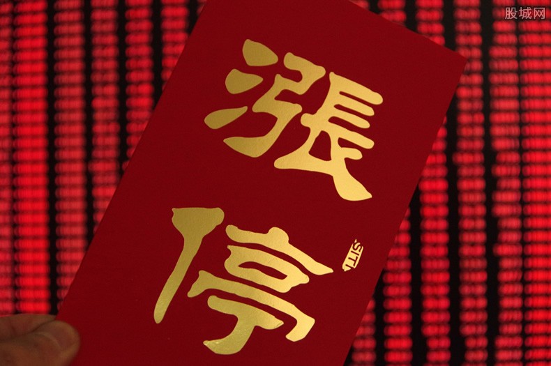 3月11日狮头股份涨停分析：跨境电商，宠物经济概念热股