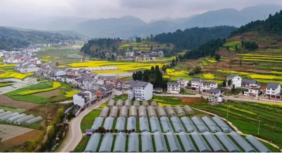 2025乡村旅游:在“乡村振兴”的征途上,你的乡村梦“照进现实”了吗?_人保服务 ,人保有温度