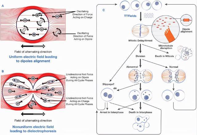 2025中国生命科学产业竞争解析,跨界融合与创新突围下的万亿赛道重构_人保车险,人保护你周全