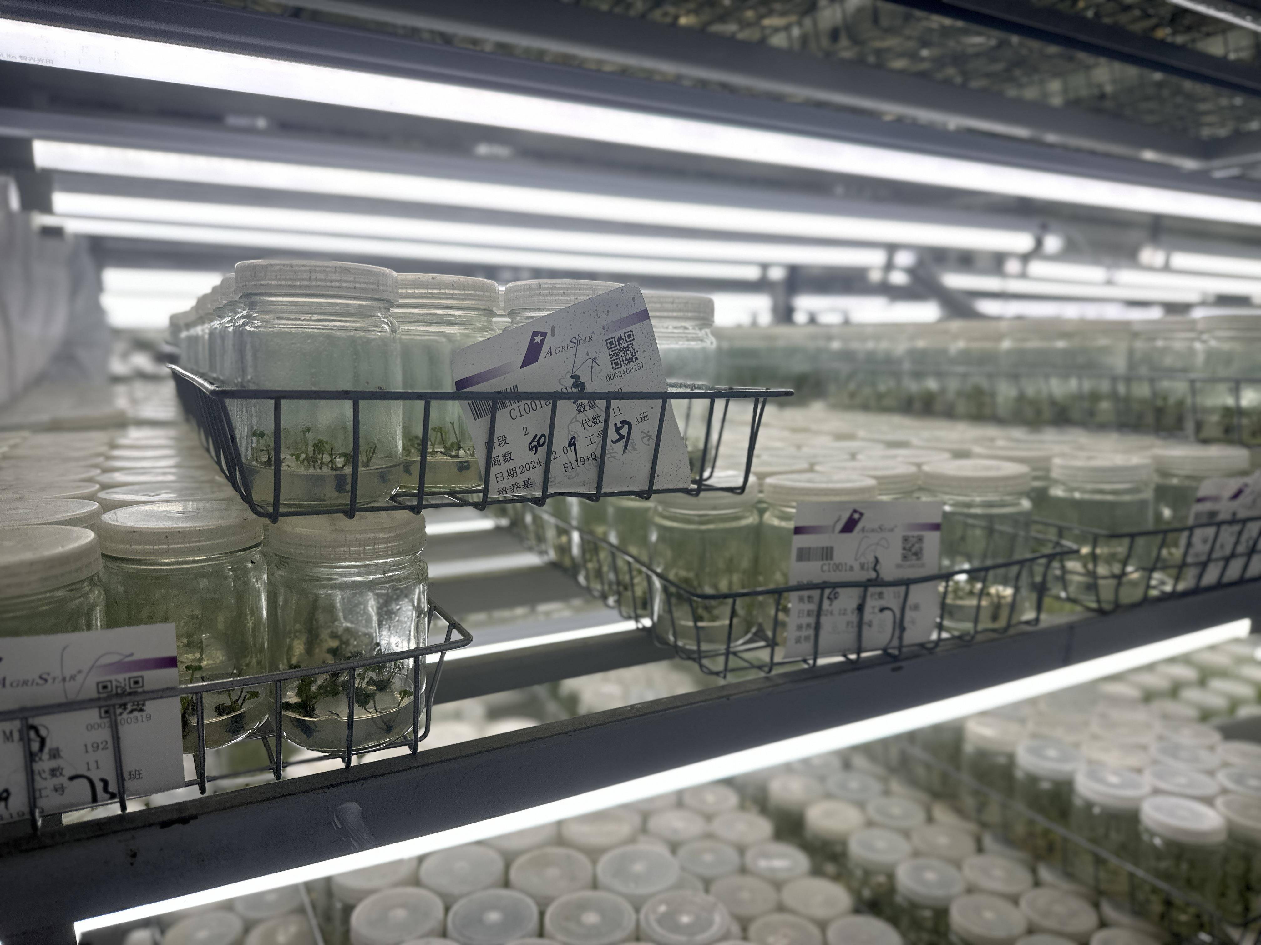 细胞治疗市场企业竞争格局及行业未来前景分析2025_人保车险,人保护你周全