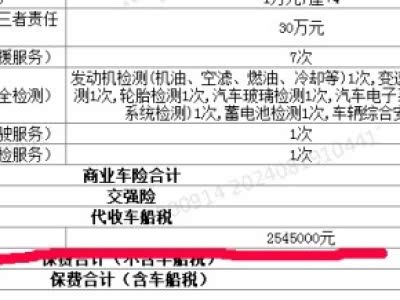 2025年连锁超市行业市场竞争格局与投资前景预测报告_拥有“如意行”驾乘险，出行更顺畅！,人保护你周全