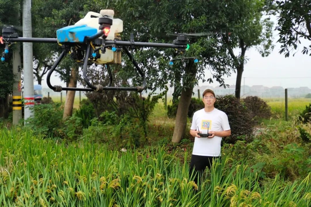 科技赋能立体种植，产业振兴富民兴乡 中国中草药种植行业升级路径探析_保险有温度,人保伴您前行