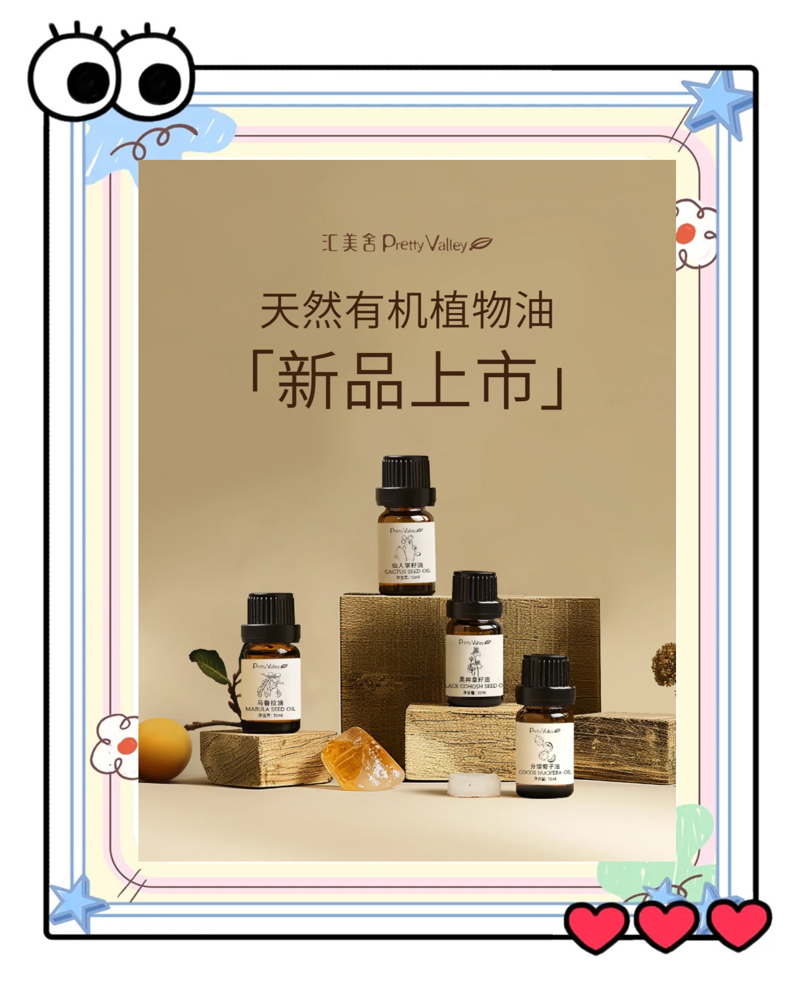 食用植物油是什么油?揭秘食用植物油的种类与特点_保险有温度,人保伴您前行
