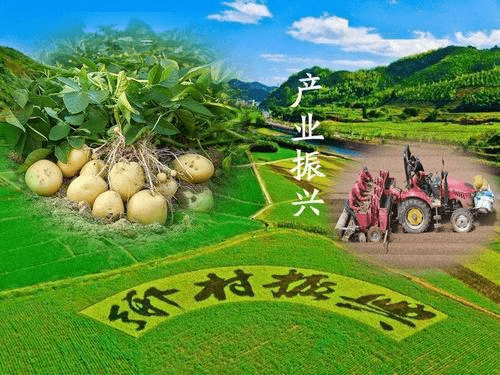 2025年数字化户外广告行业市场深度调研：技术主导、数据驱动、绿色转型_人保服务 ,拥有“如意行”驾乘险，出行更顺畅！