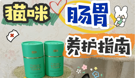 “体重减下来，价值涨上去”！像减肥一样做投资 | 猫猫看市