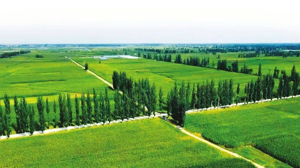 2025年中国城市规划行业变革与绿色基建投资_人保服务,人保护你周全
