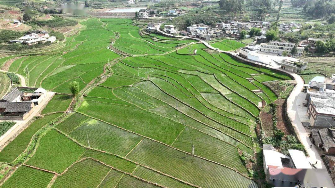 浙江基层渔技员:让更多养殖户端稳科技饭碗