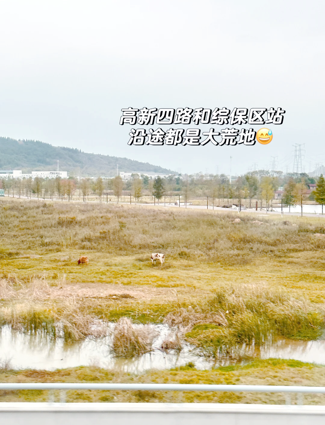 中国光谷迎来科技旅游热