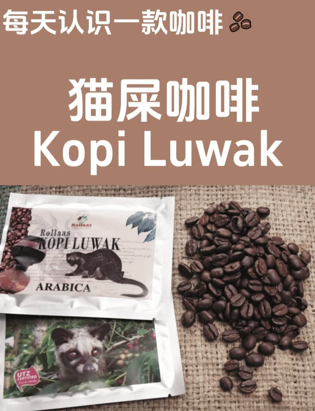 猫屎咖啡为何那么贵？