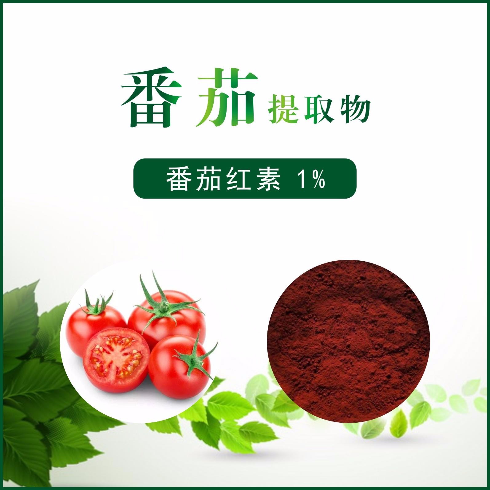 2025中国番茄红素市场规划研究及未来发展潜力预测_人保伴您前行,拥有“如意行”驾乘险，出行更顺畅！