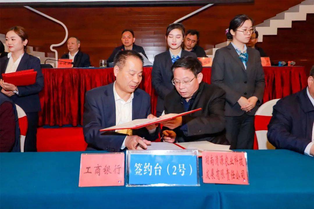 2025中国茶叶提取物行业市场前景预测及投资价值评估分析_人保服务,人保财险政银保 