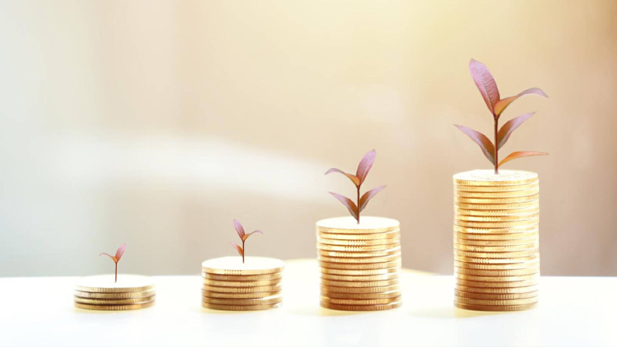 招商蛇口:2025年1~5月销售金额671.46亿元