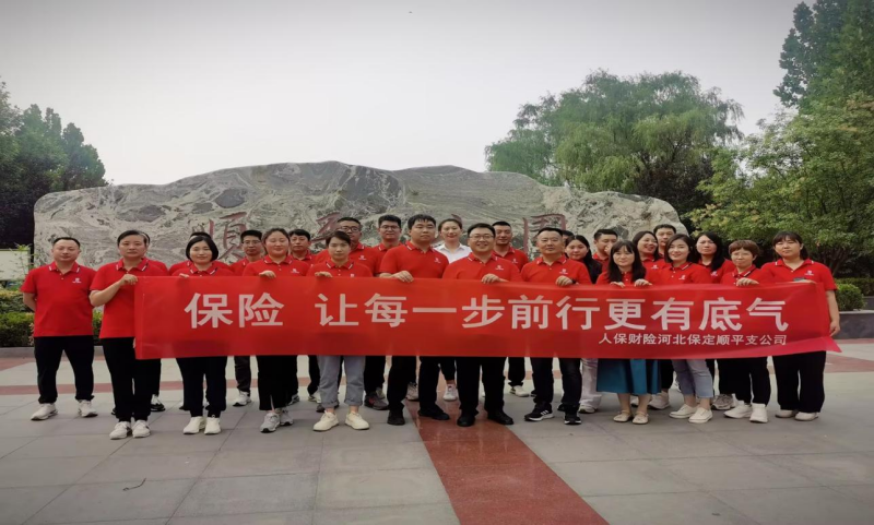 2025年手游行业发展前景预测及投资战略研究_人保伴您前行,人保财险 