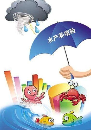 2025年鱼行业市场调查及未来发展趋势_保险有温度,人保服务 