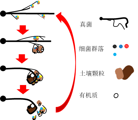 迈克生物获得发明专利授权:“一种用于微液滴制备的控制装置及制备微液滴的方法”