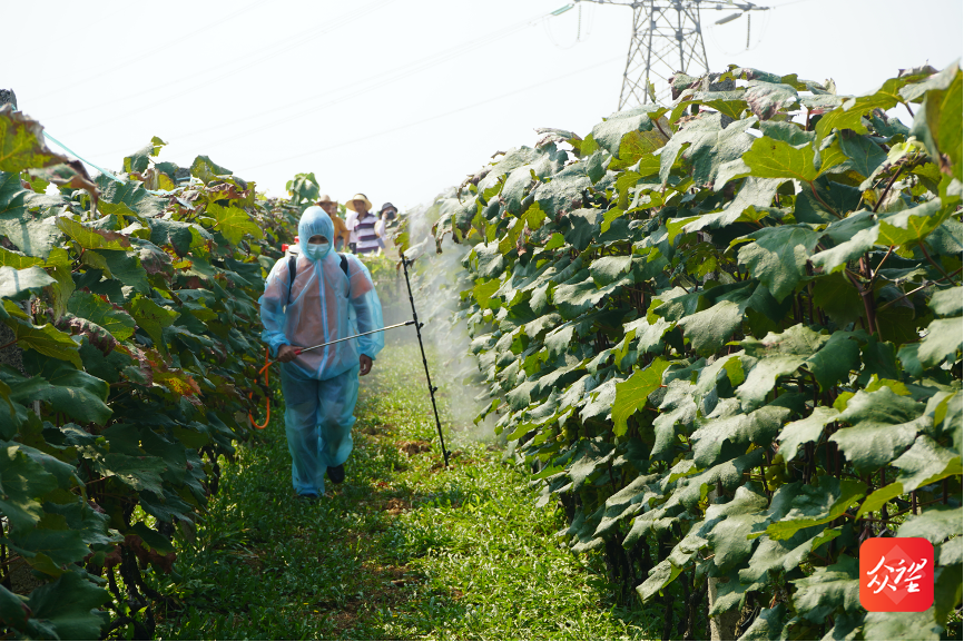 贵州省农业农村厅原副厅长陈波被“双开”