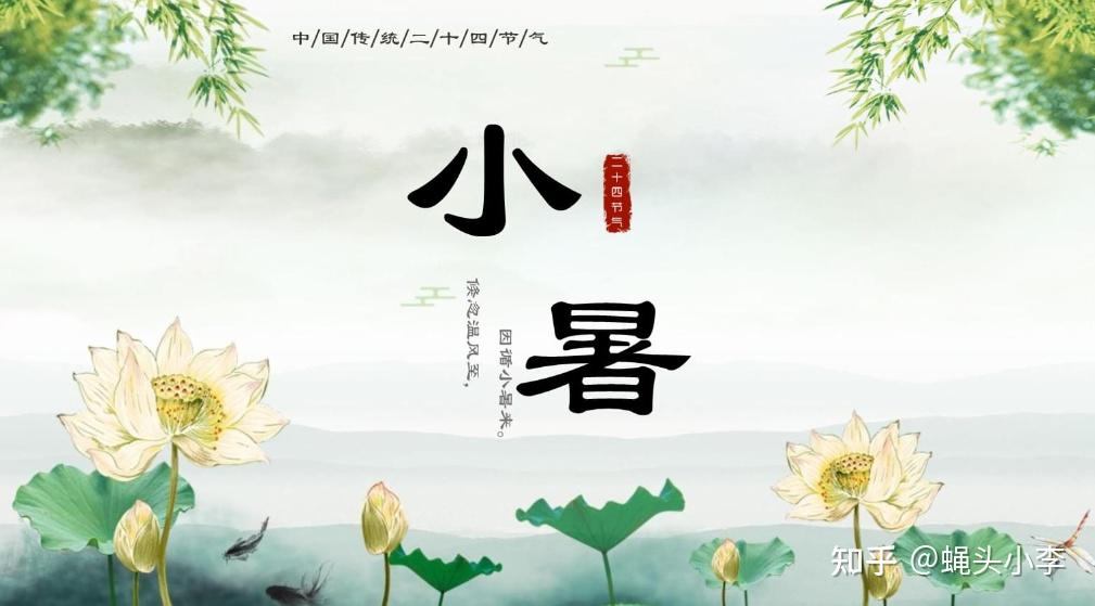 AI科普：小暑养生“避”当先！四招躲开暑湿风寒