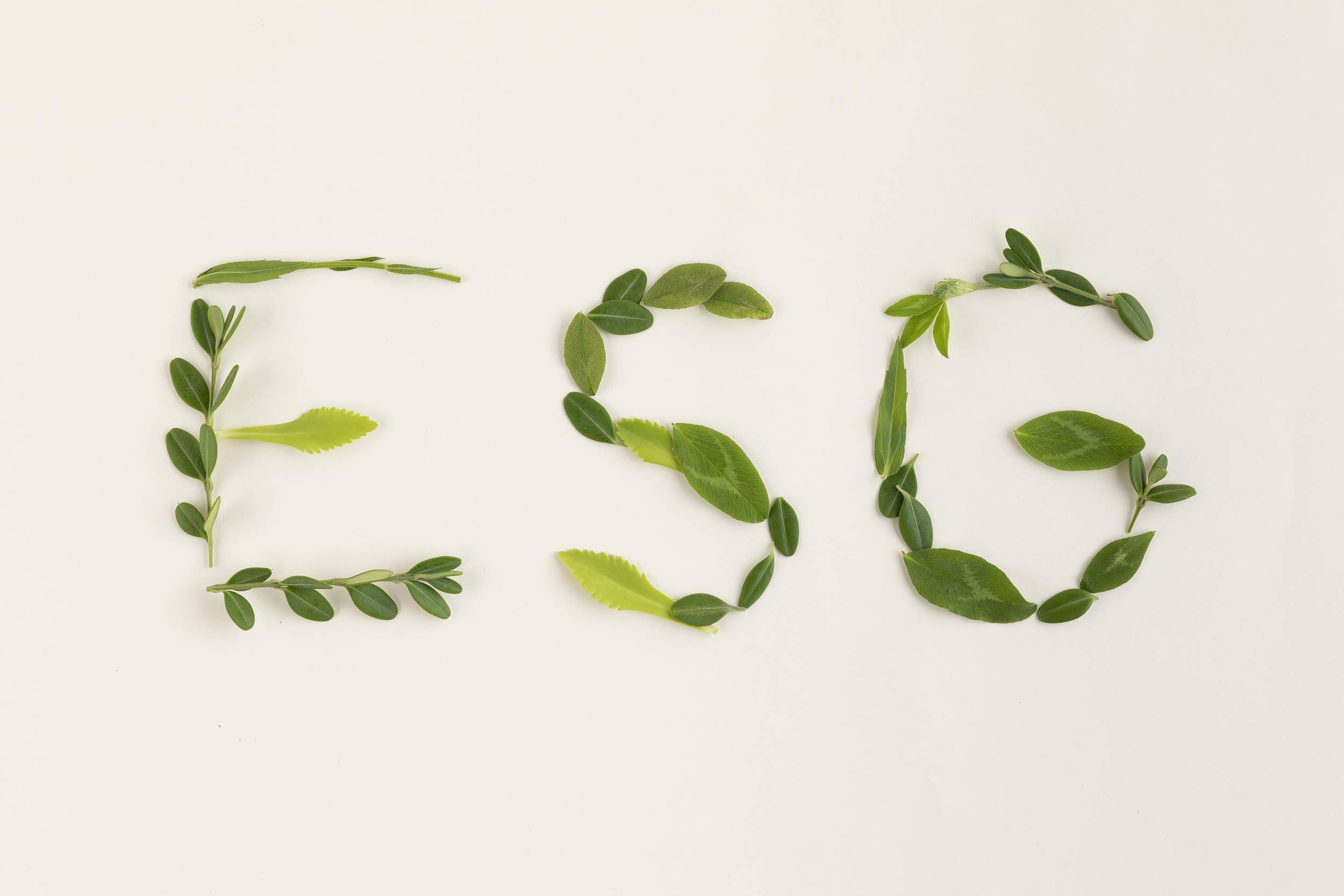 【ESG动态】软通动力（301236.SZ）获华证指数ESG最新评级BBB，行业排名第8
