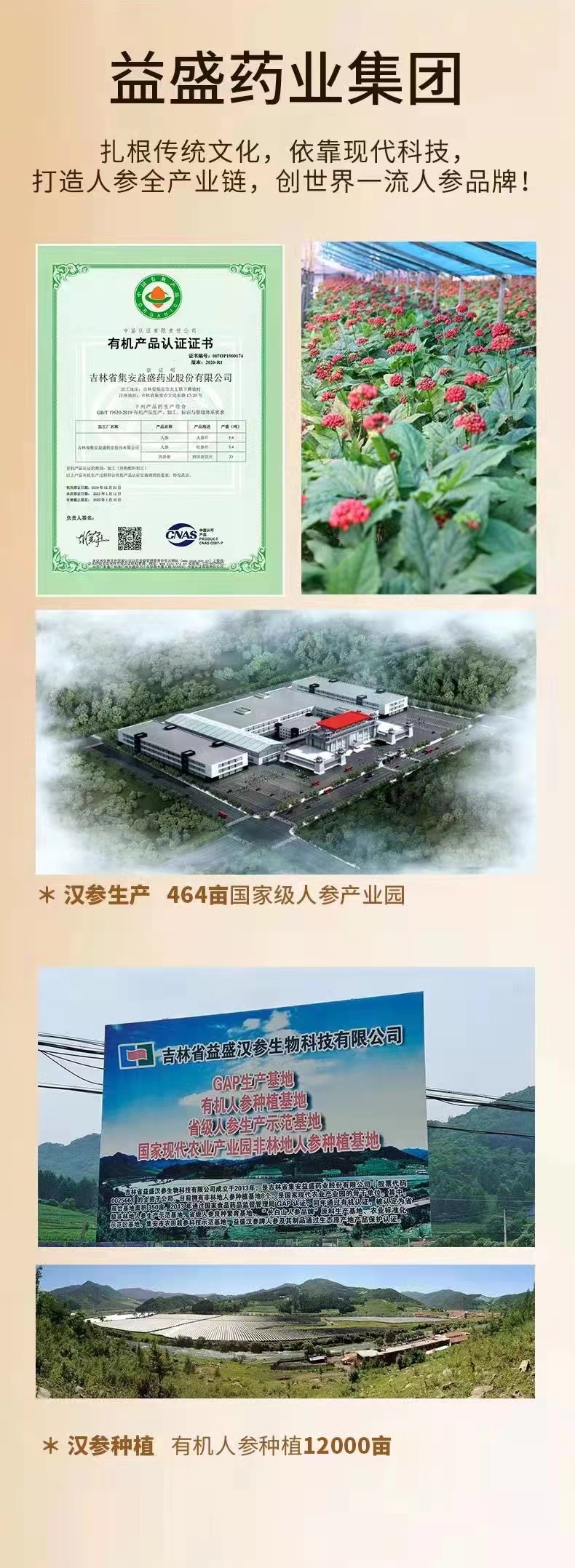 益盛药业新提交“益盛汉参 YISHENG GINSENG”商标注册申请
