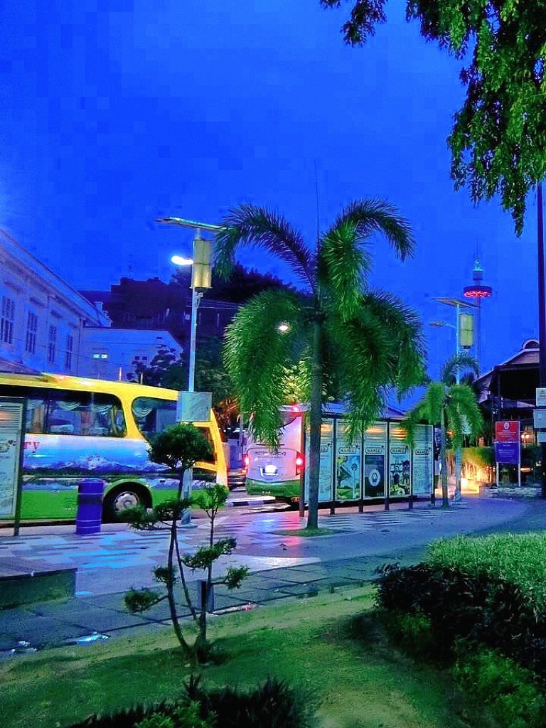 中国和马来西亚免签协定17日生效 旅游平台相关搜索量大增