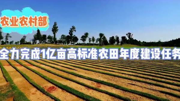 农业农村部：推动奶牛养殖尽早迎来“拐点”