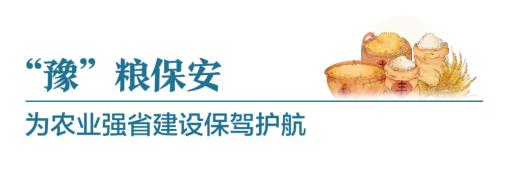 人保财险政银保 ,拥有“如意行”驾乘险，出行更顺畅！_2025年中国花卉行业：聚焦鲜切花市场，捕捉投资增长点