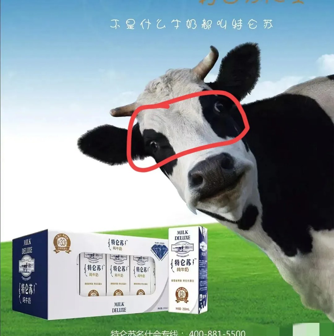 蒙牛“托底”也难挡亏损，现代牧业上半年预亏再扩大，50万头奶牛目标悬了？