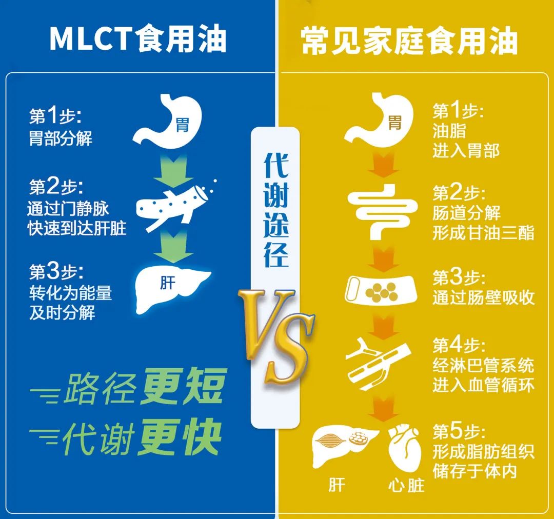 金龙鱼：近几年陆续推出一系列大健康产品，例如甘油二酯油、中长链脂肪酸食用油等